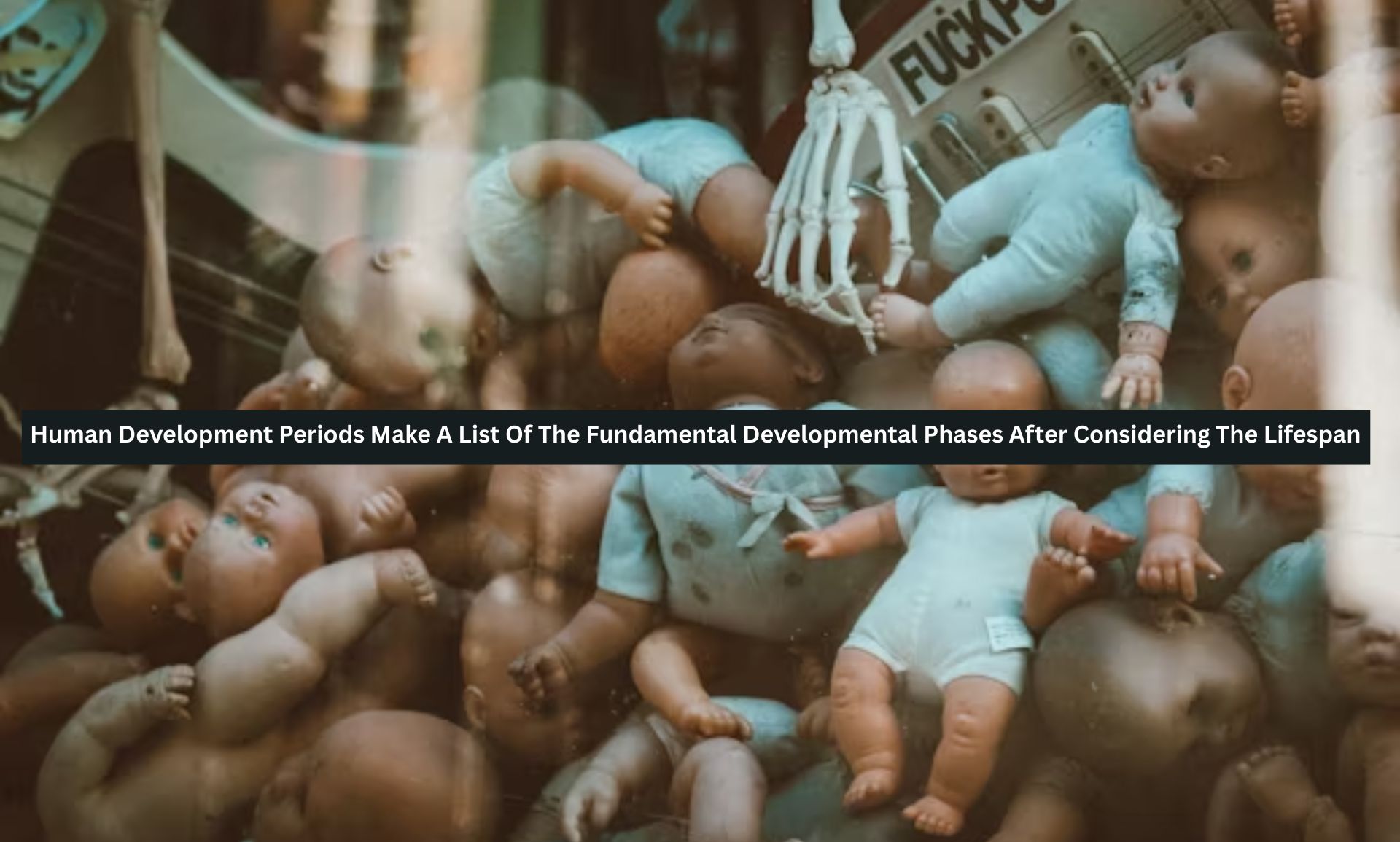 Human Development Periods Make A List Of The Fundamental Developmental Phases After Considering The Lifespan