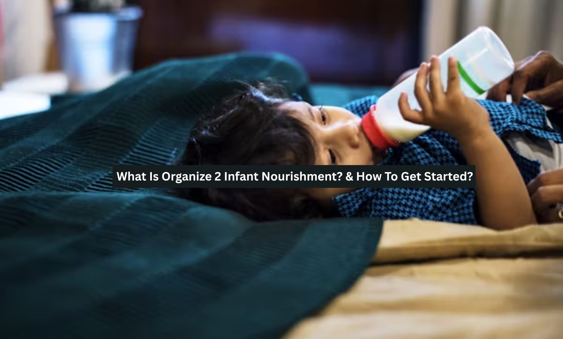 What Is Organize 2 Infant Nourishment? & How To Get Started?