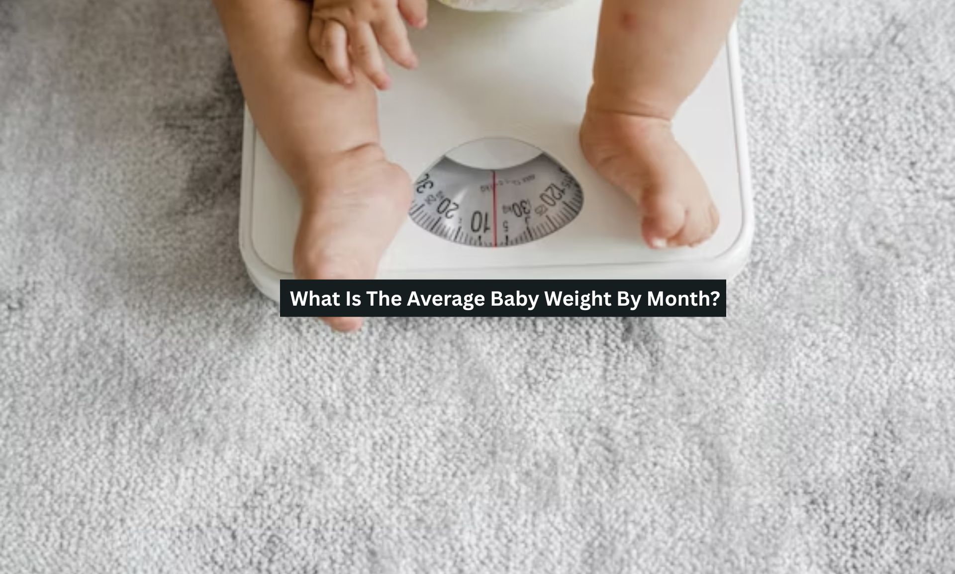 What Is The Average Baby Weight By Month?